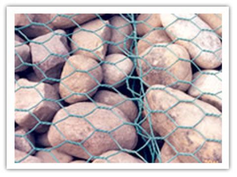 Gabions Mesh  